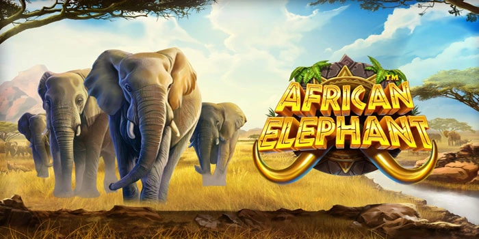 Teknik Pintar Bermain Slot African Elephant Untuk Jackpot
